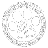 Animal Evalution Logo